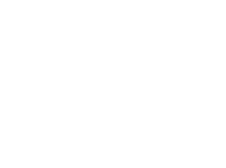 Spelinspektionen